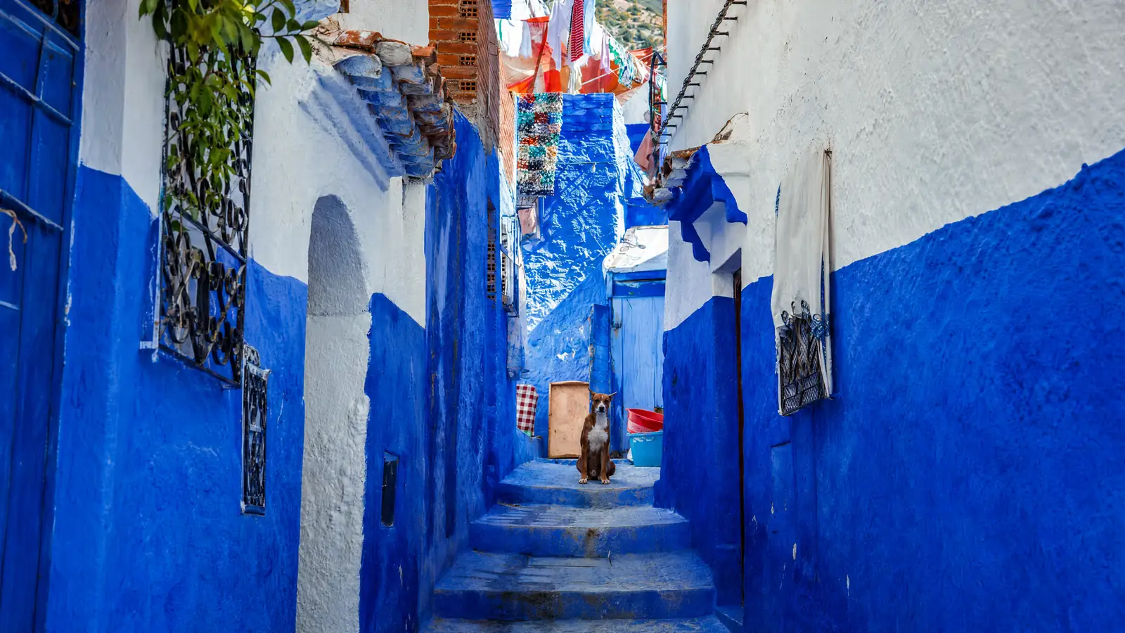 Une ruelle bleue étroite avec des marches dans la médina de Chefchaouen
