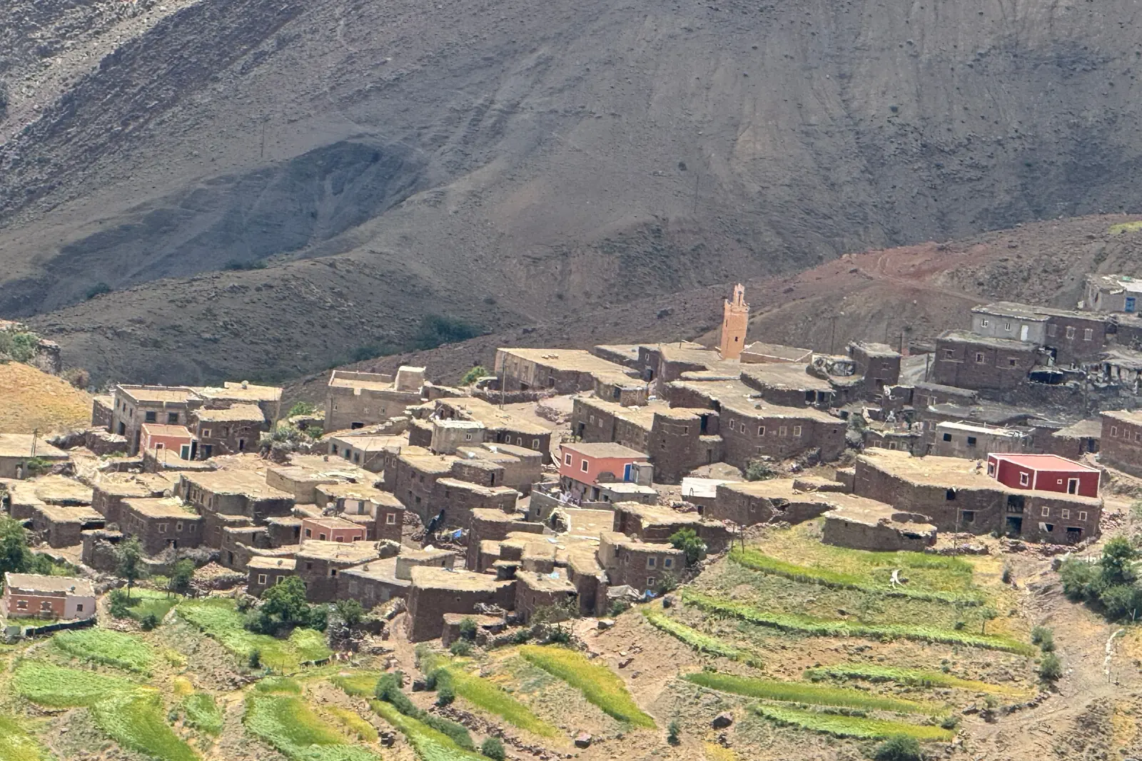 Un village berbère aux maisons en terre au-dessus de champs verts en terrasses, dans le Haut Atlas