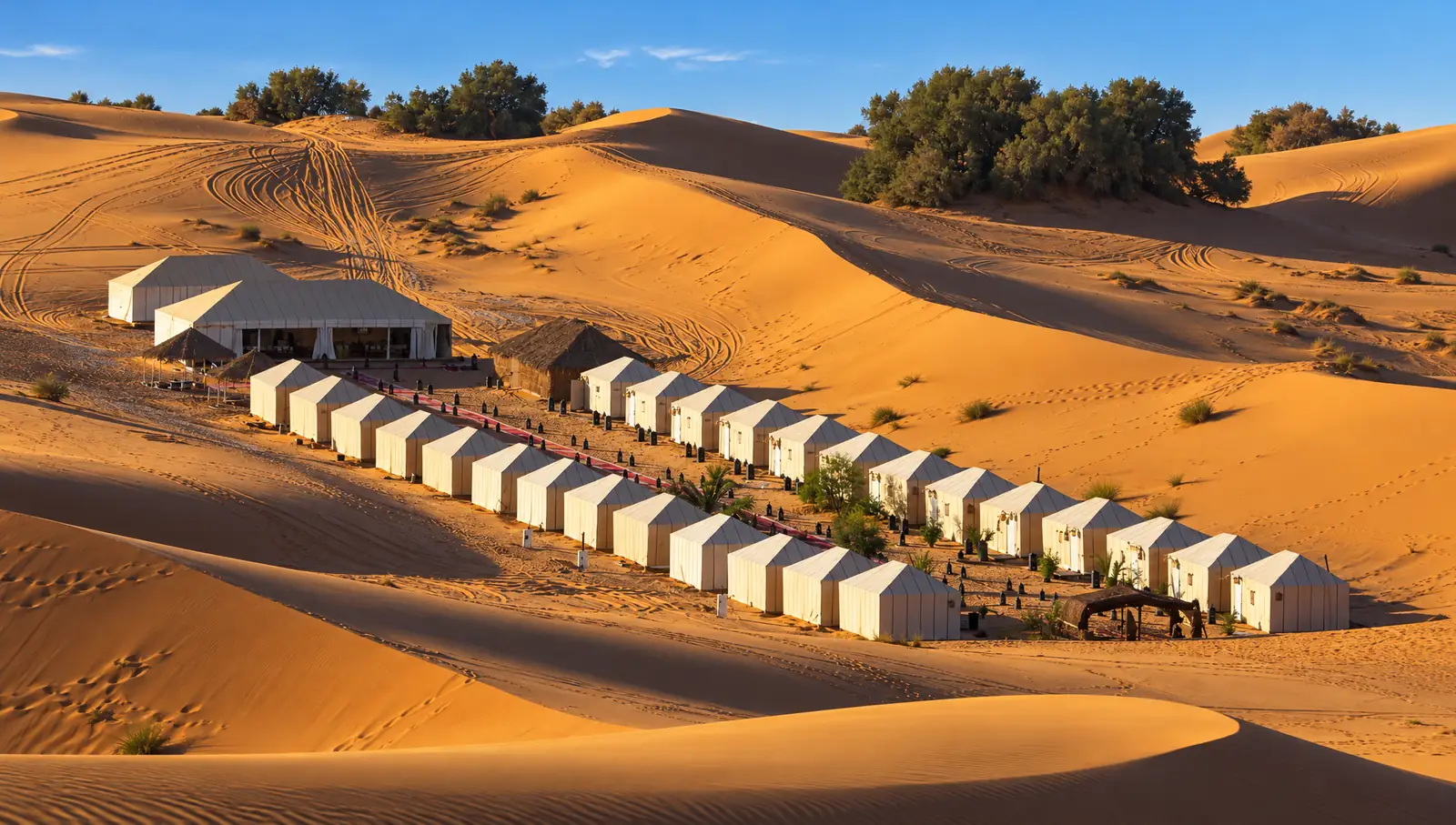 Merzouga Standard Tents, a row of white tents among the Erg Chebbi dunes